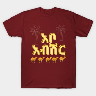 Dire Dawa T-Shirt